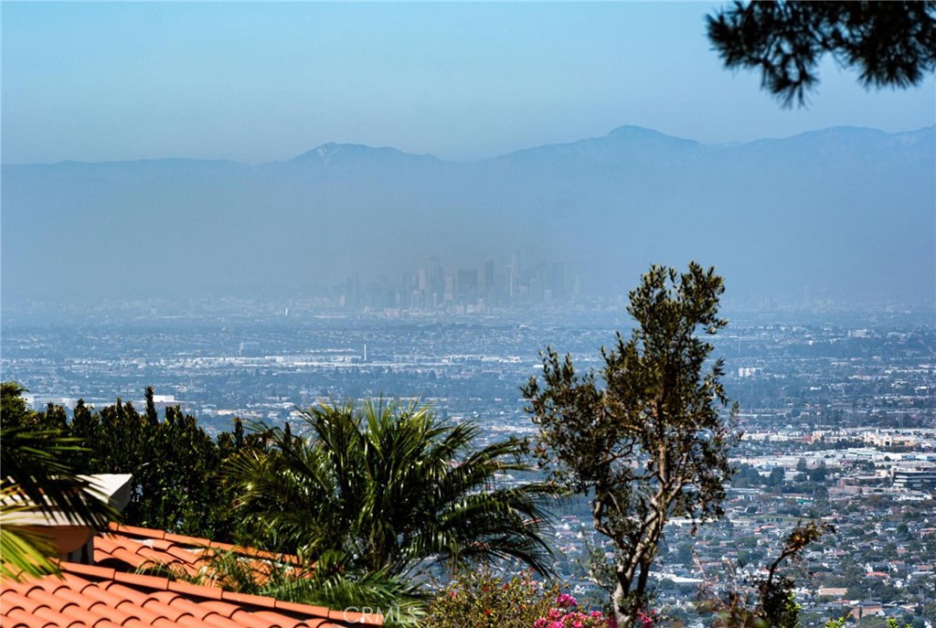 988 Via Rincon Property Photo 7