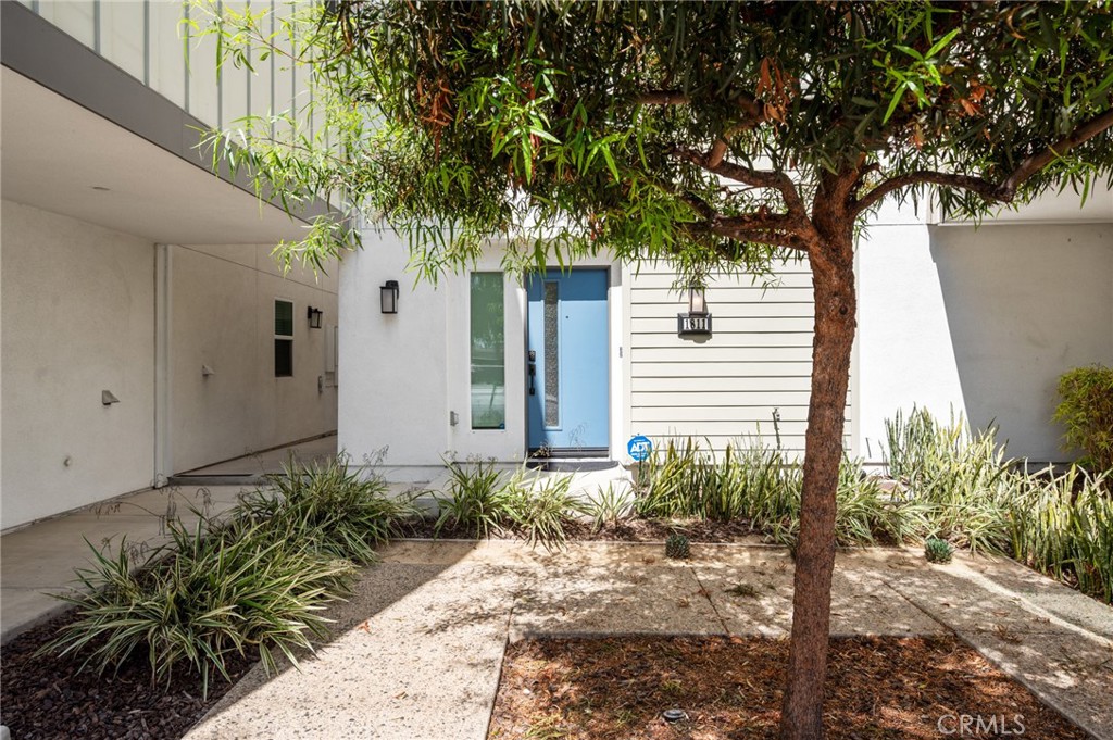 1811 S Mesa Property Photo 4