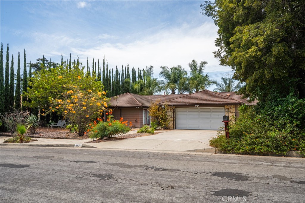 993 Verona Property Photo 41
