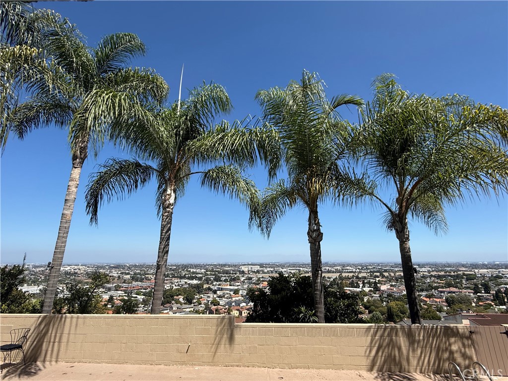 3927 Paseo De Las Tortugas Property Photo 31