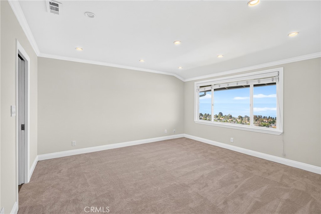 28027 Braidwood Drive Property Photo 16