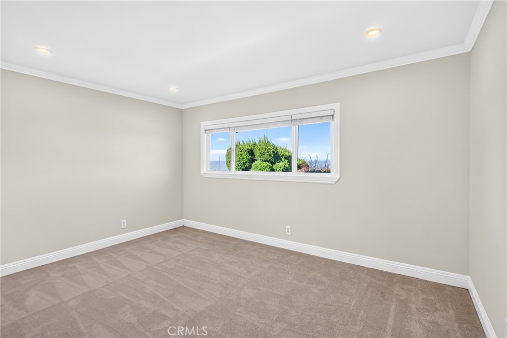28027 Braidwood Drive Property Photo 27