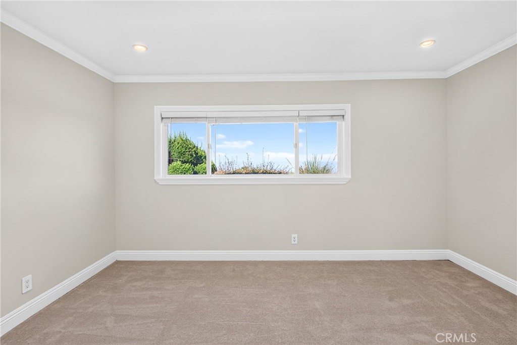 28027 Braidwood Drive Property Photo 29