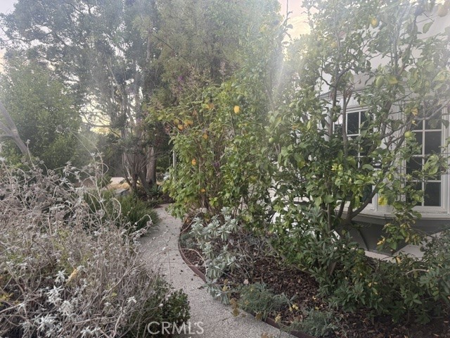 1701 Pier Avenue Property Photo 38