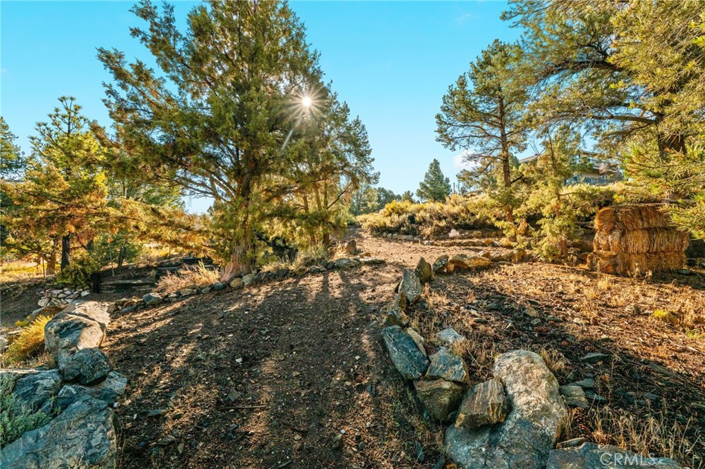 1627 Baldwin Lake Property Photo 46