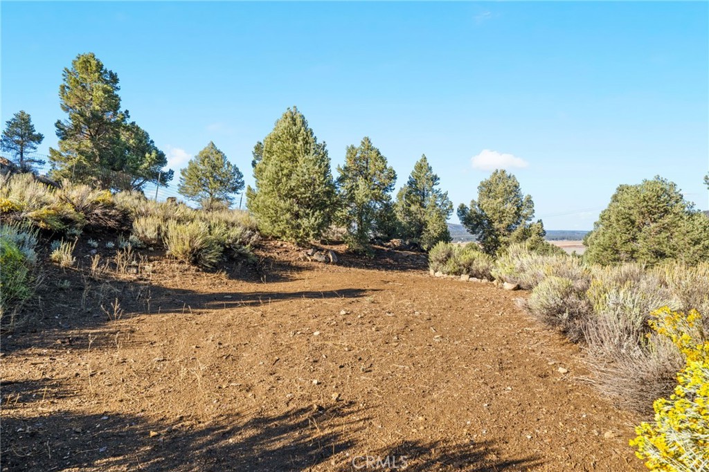 1627 Baldwin Lake Property Photo 48