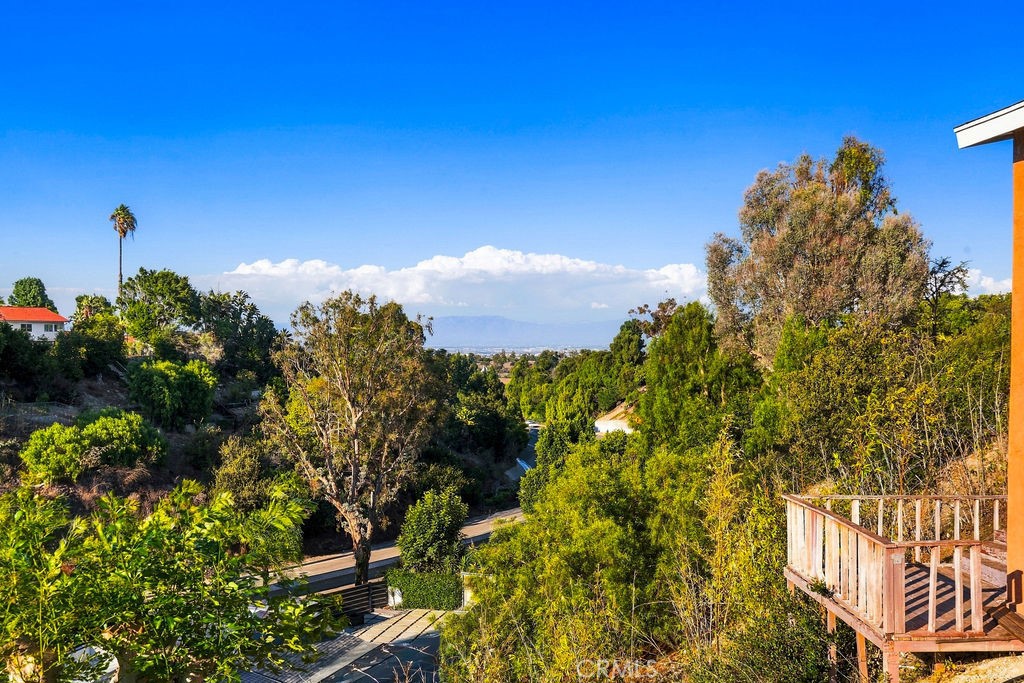 27127 Travis Lane Property Photo 52