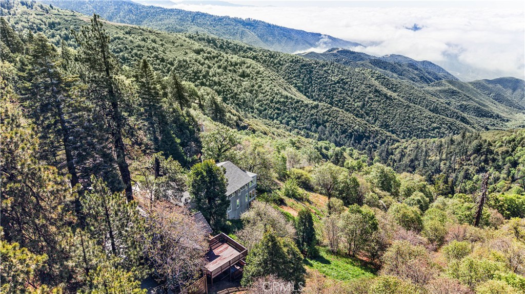 28503 Rim Of The World Property Photo 24