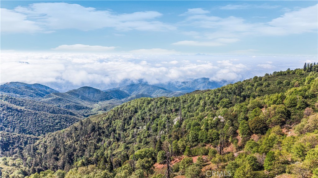 28503 Rim Of The World Property Photo 25