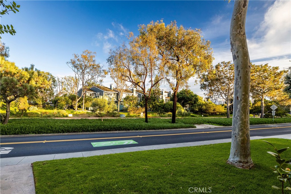 255 Valley Property Photo 36