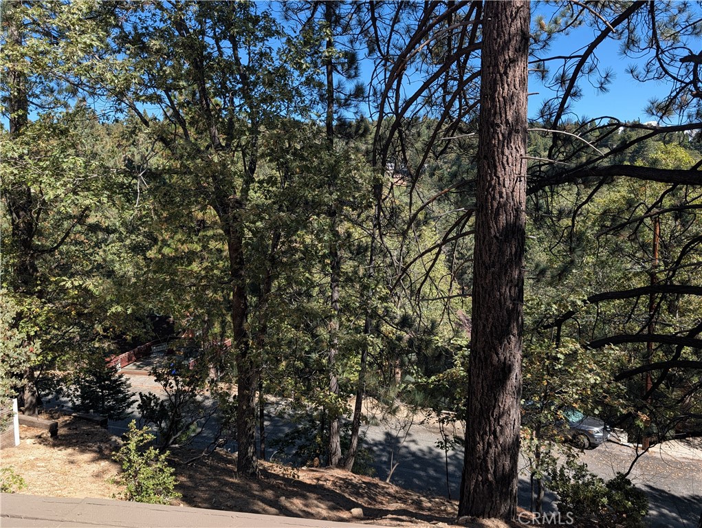 30762 Knoll View Property Photo 8