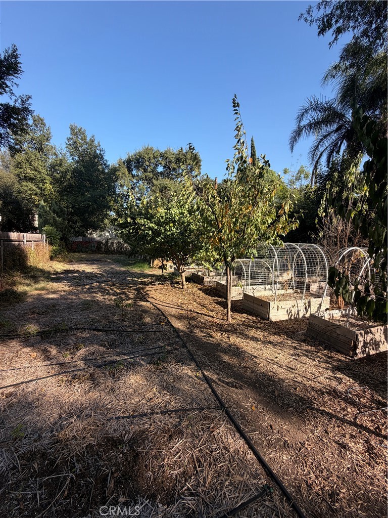 1110 S Los Robles Property Photo 6