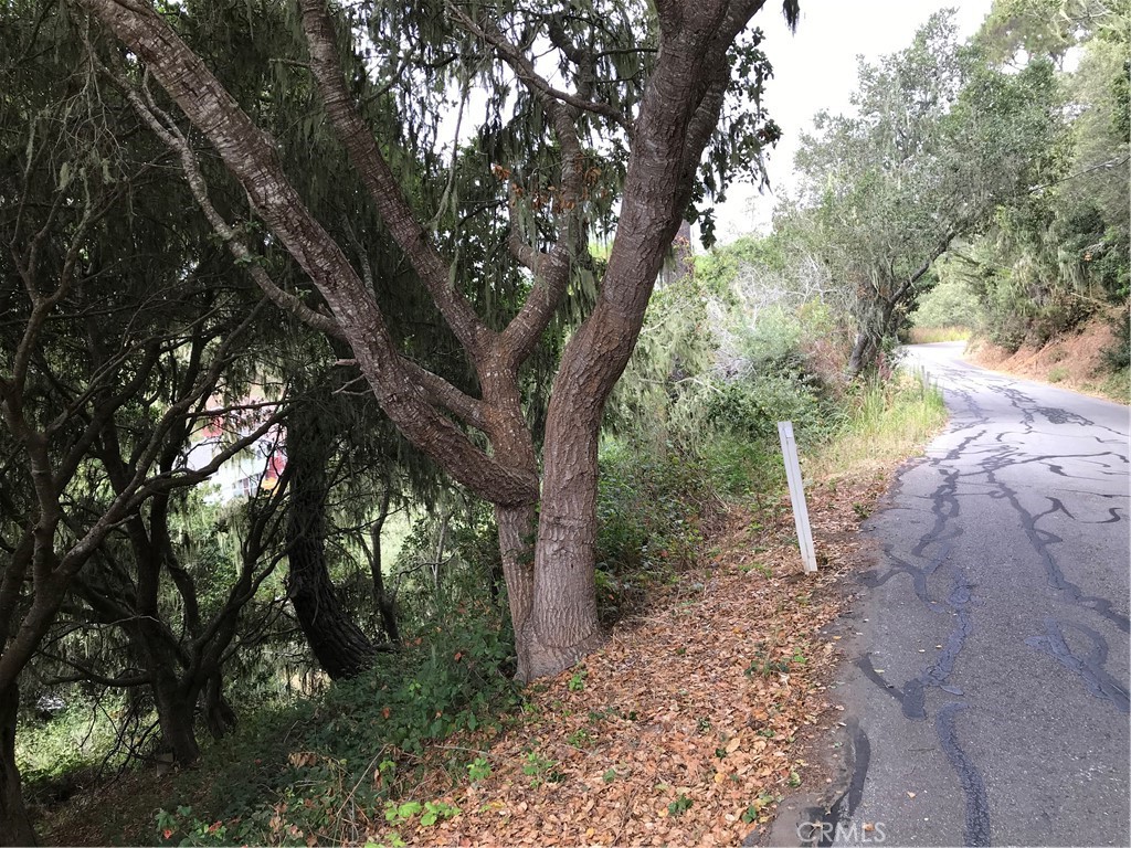 0 Hillcrest Drive Property Photo 3