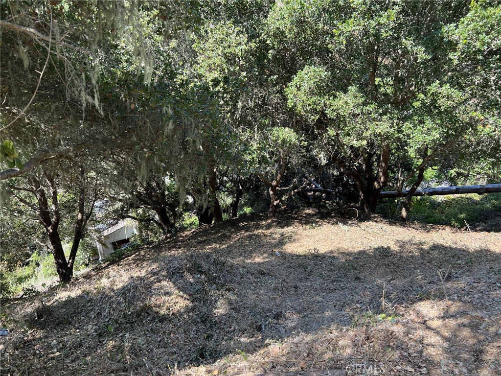 0 Hillcrest Drive Property Photo 6