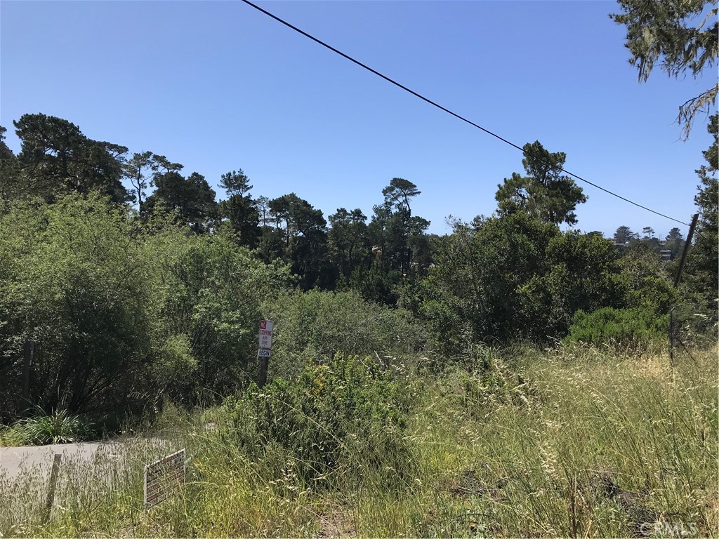 0 Hillcrest Drive Property Photo 10
