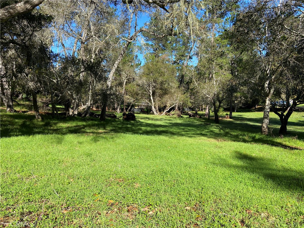 0 Kenneth Property Photo 1