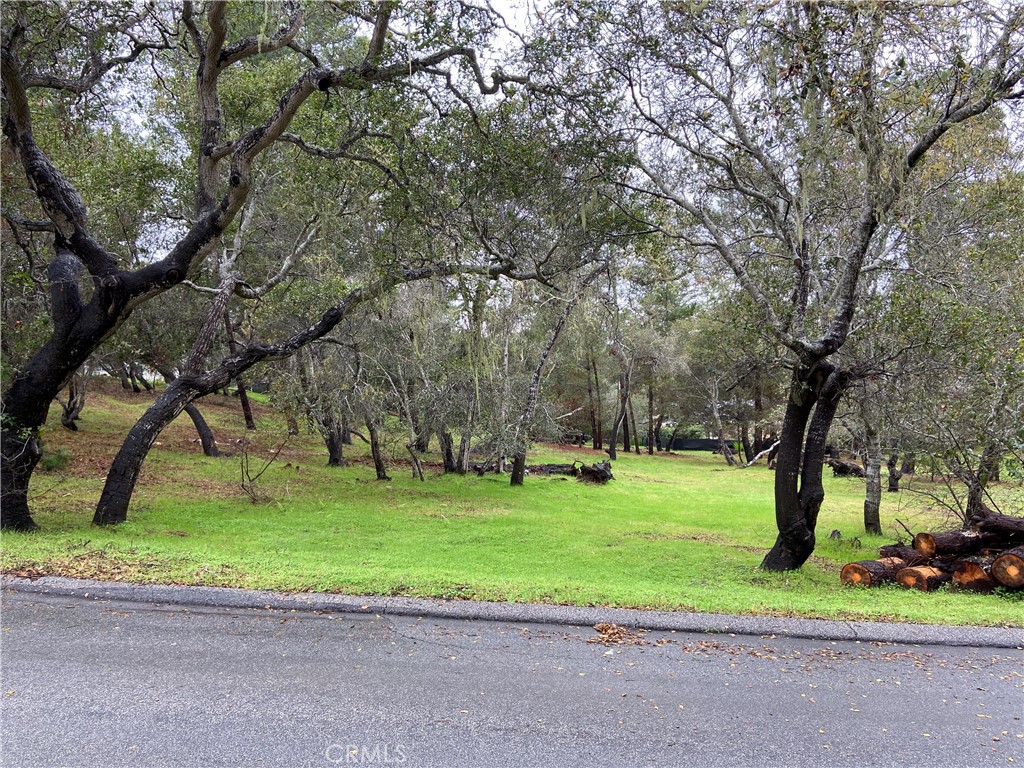 0 Kenneth Property Photo 2