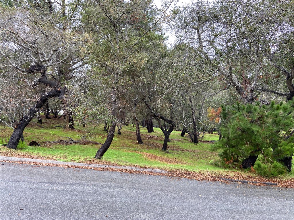 0 Kenneth Property Photo 3