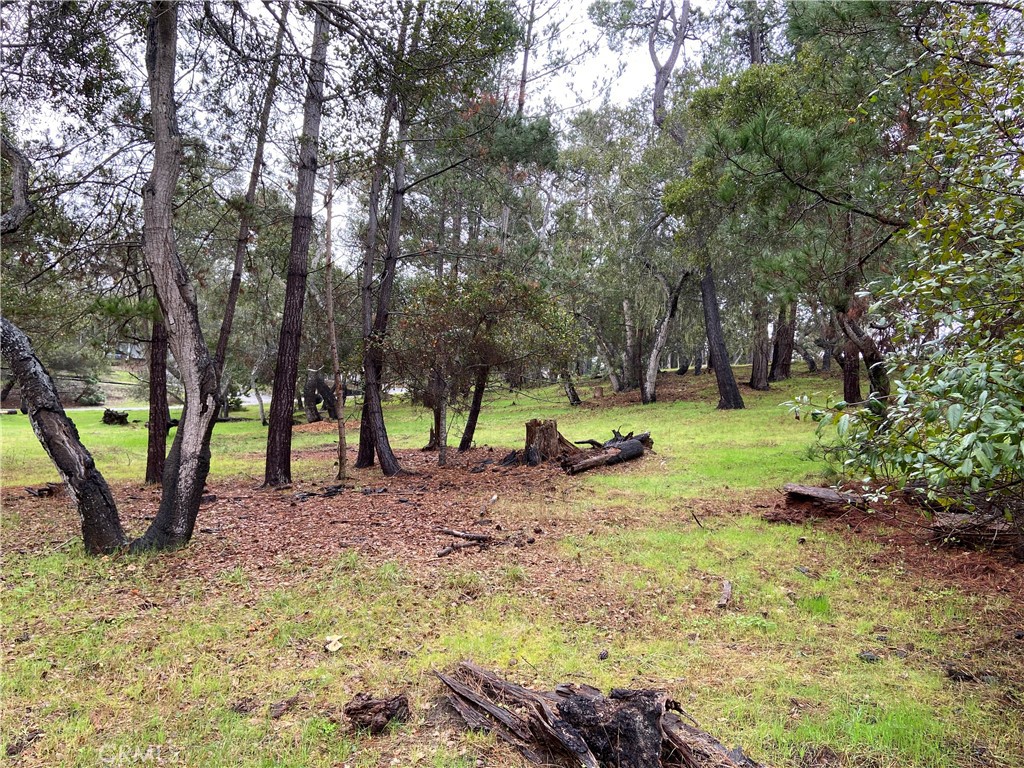 0 Kenneth Property Photo 4