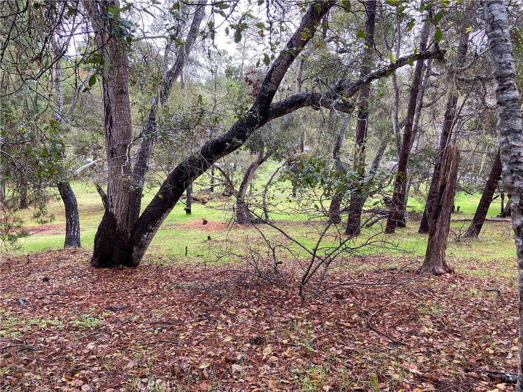 0 Kenneth Property Photo 7