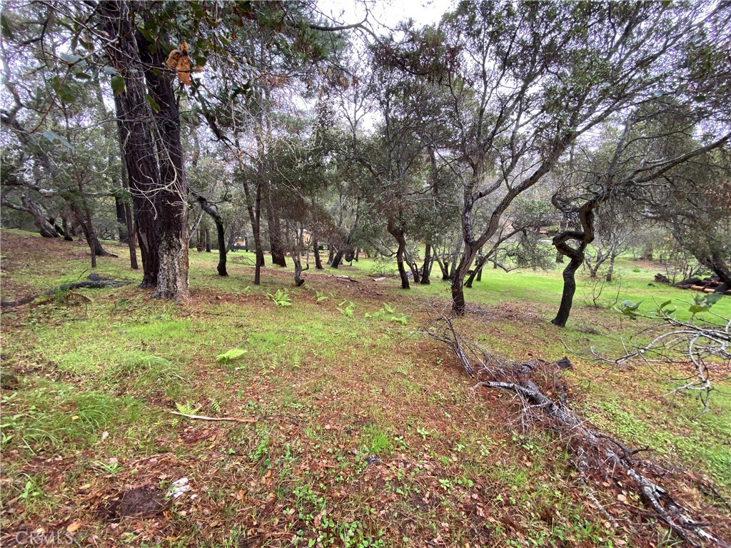 0 Kenneth Property Photo 9
