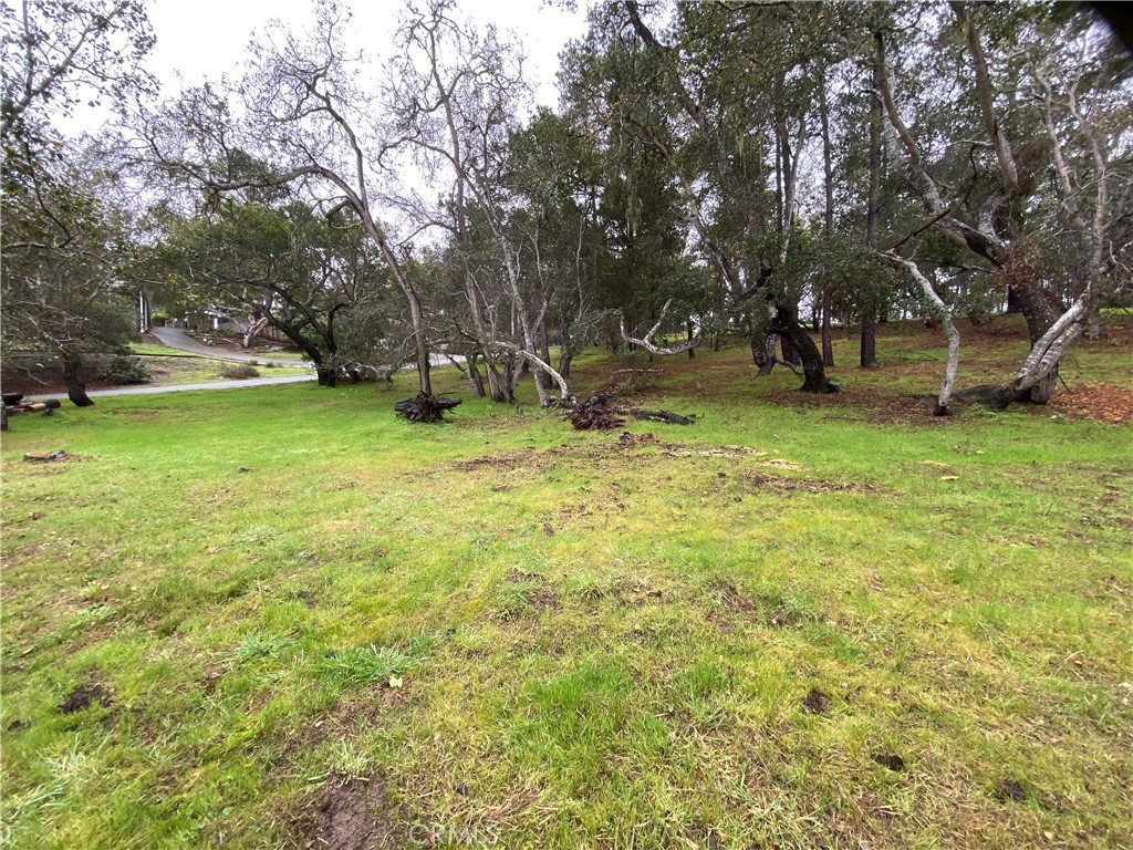 0 Kenneth Property Photo 13