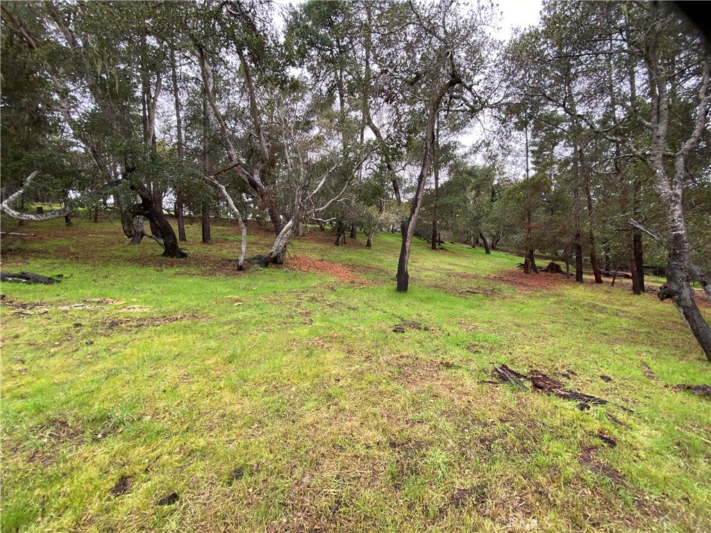 0 Kenneth Property Photo 14