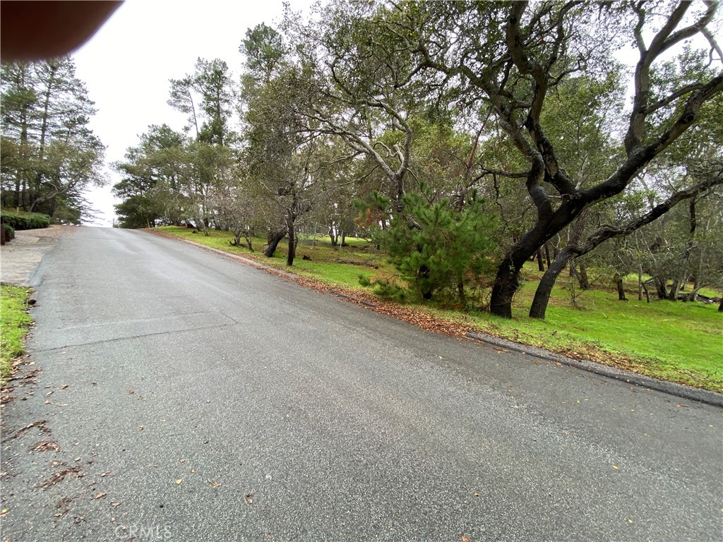 0 Kenneth Property Photo 15