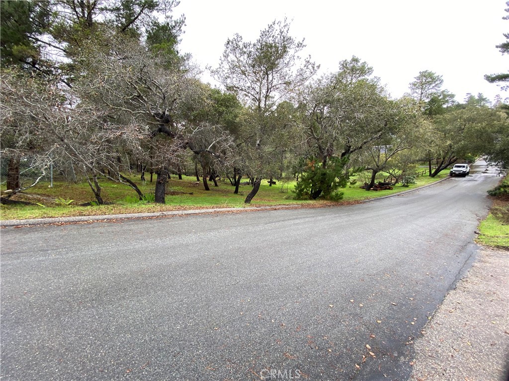 0 Kenneth Property Photo 16