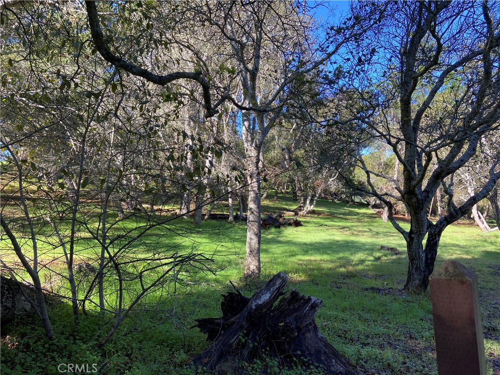 0 Kenneth Property Photo 17