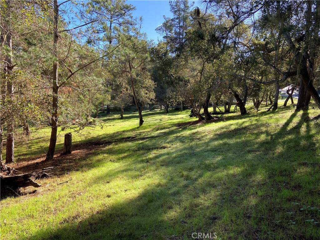 0 Kenneth Property Photo 19