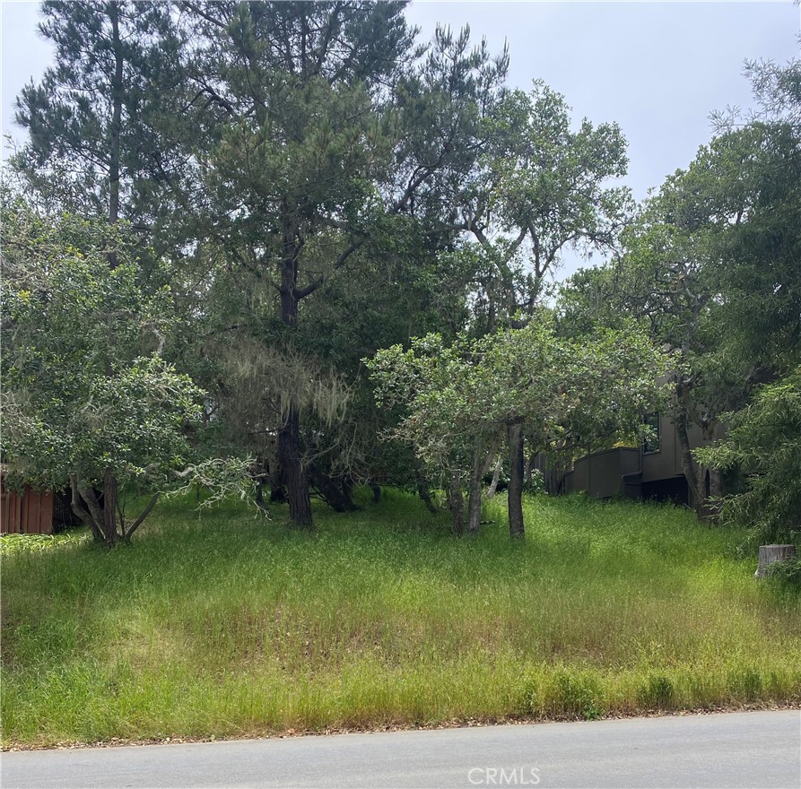 0 Ardath Drive Property Photo 1