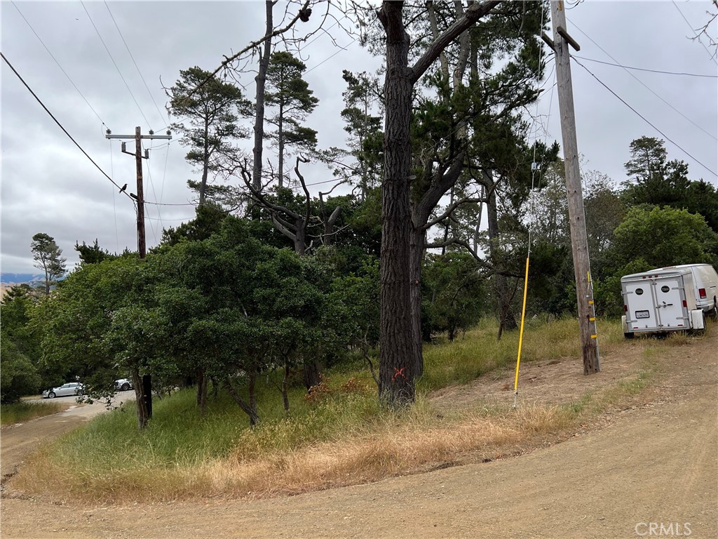 0 Norton Lane Property Photo 2