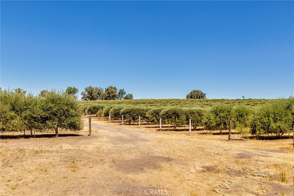 5055 Rancho La Loma Linda Drive Property Photo 30