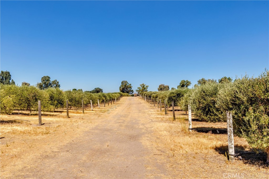 5055 Rancho La Loma Linda Drive Property Photo 31