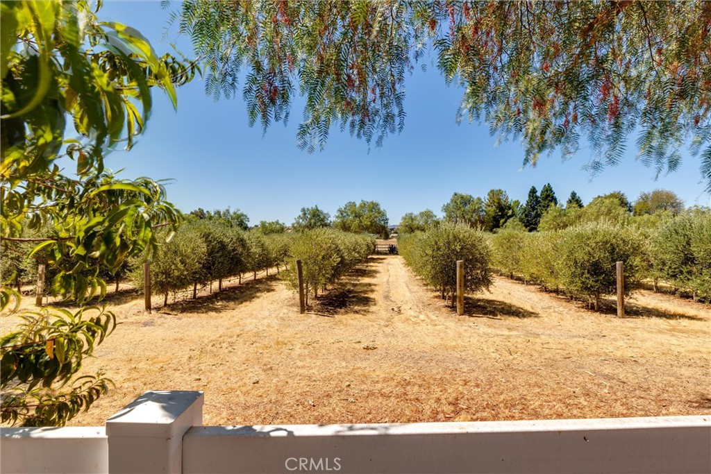 5055 Rancho La Loma Linda Drive Property Photo 35