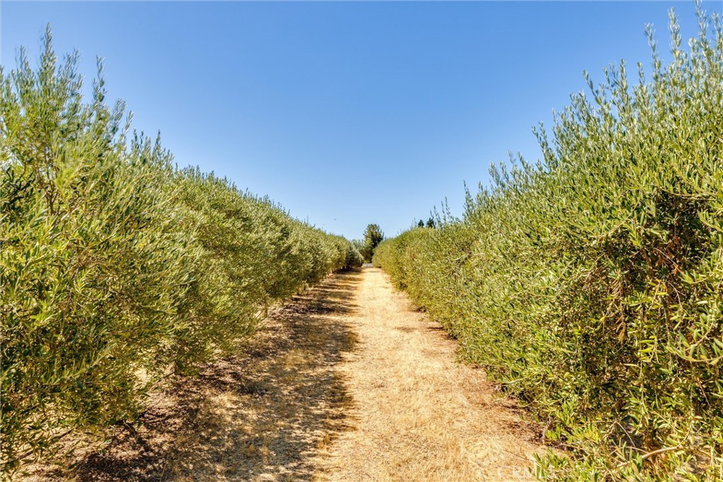 5055 Rancho La Loma Linda Drive Property Photo 43