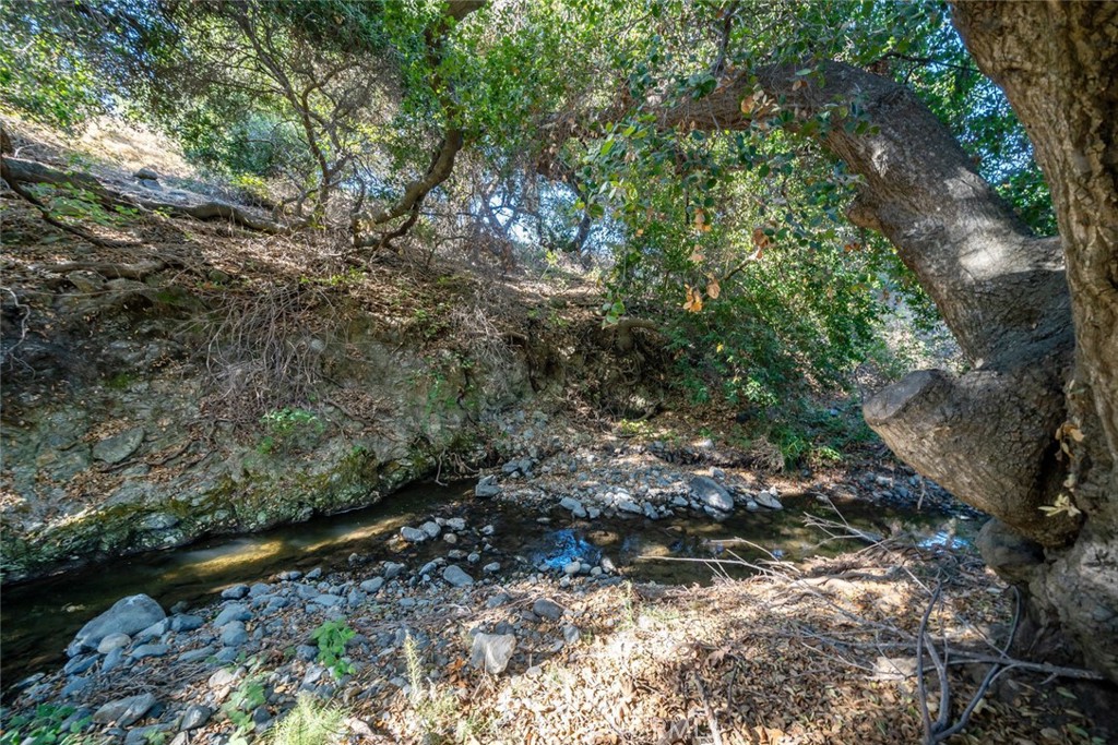 2251 Stenner Creek Road Property Photo 54