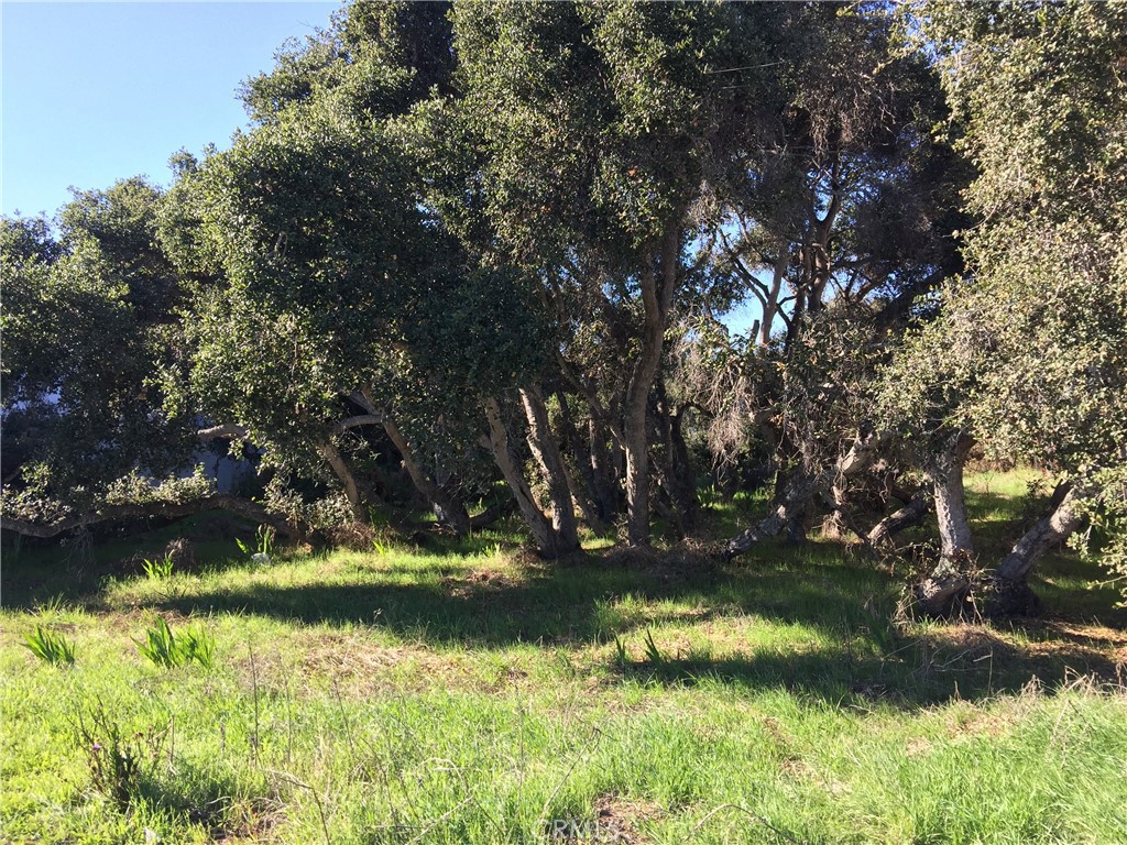 2021 9th Street Property Photo 1