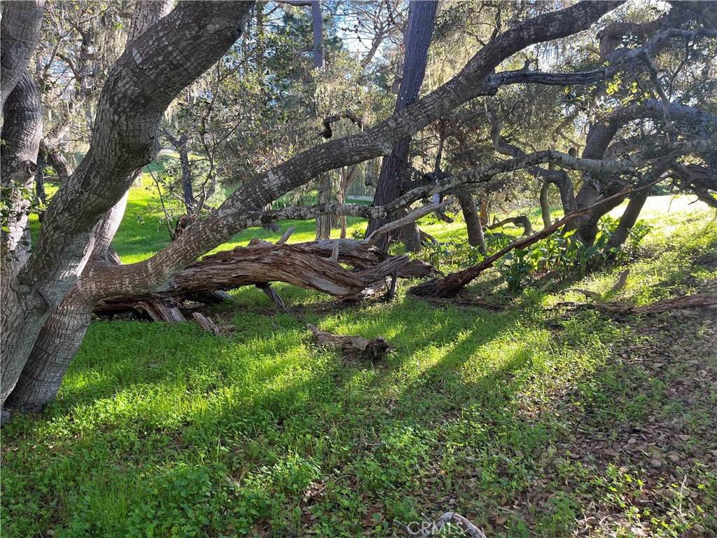 3 Astor Avenue Property Photo