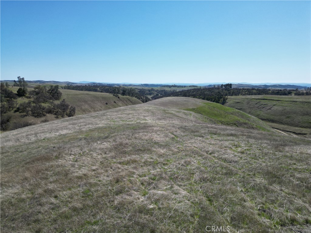 74950 Oak Avenue Property Photo 2