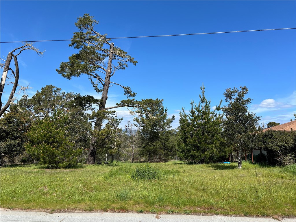2540 Malvern Street Property Photo