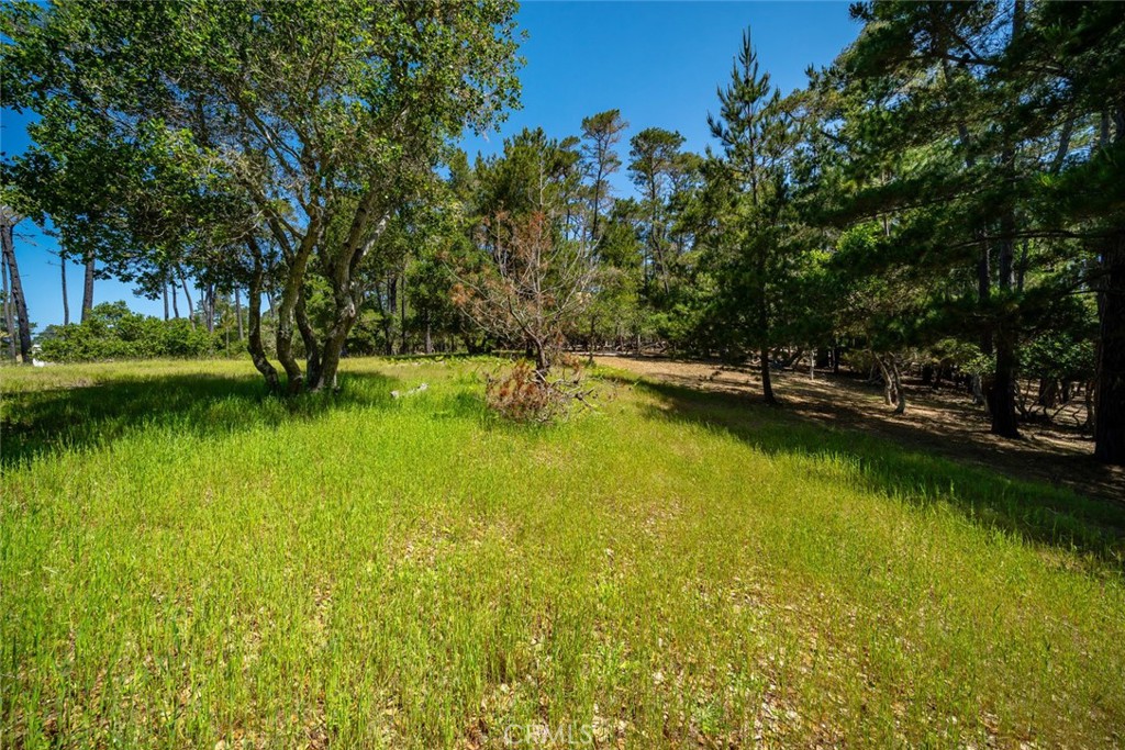 6475 Kathryn Drive Property Photo 1
