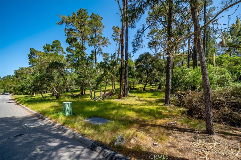 6475 Kathryn Drive Property Photo 3