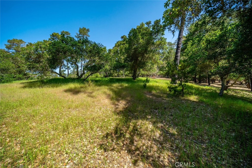 6475 Kathryn Drive Property Photo 6