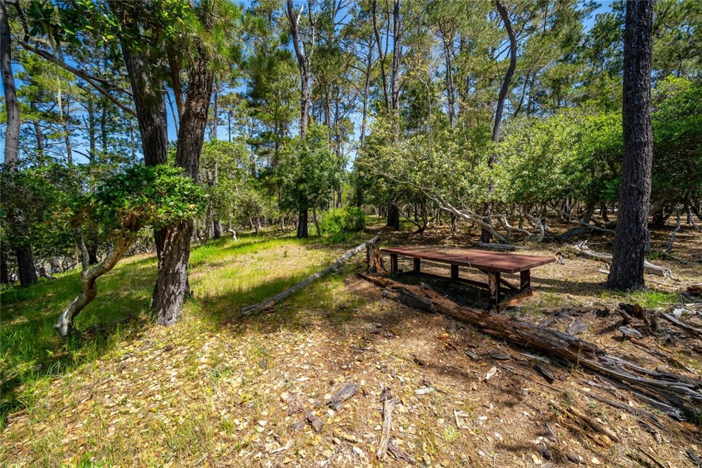 6475 Kathryn Drive Property Photo 7