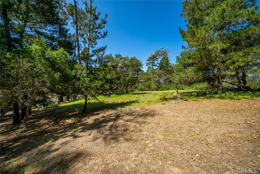 6475 Kathryn Drive Property Photo 8