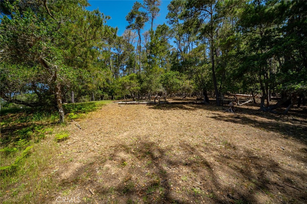 6475 Kathryn Drive Property Photo 9