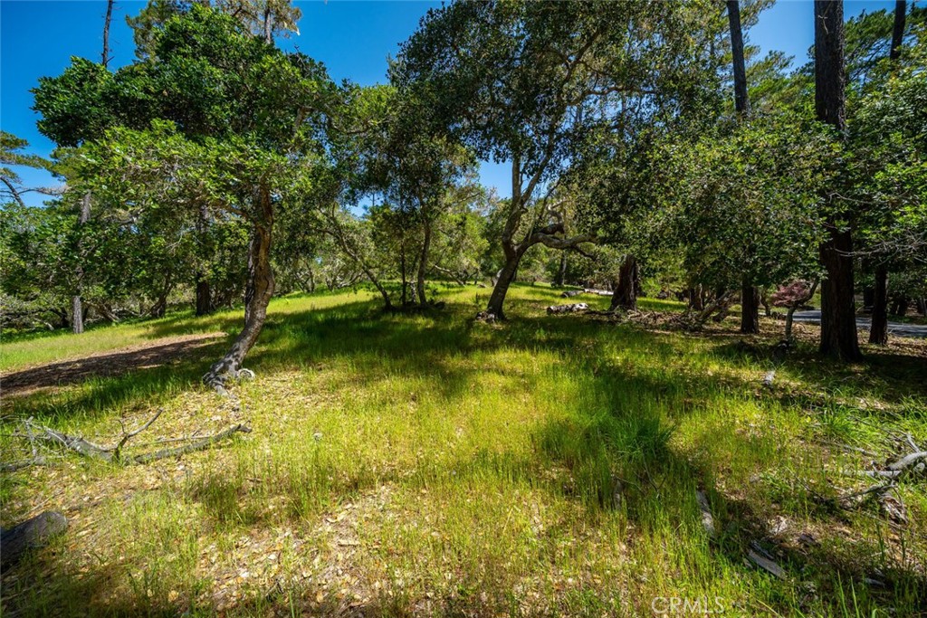 6475 Kathryn Drive Property Photo 10