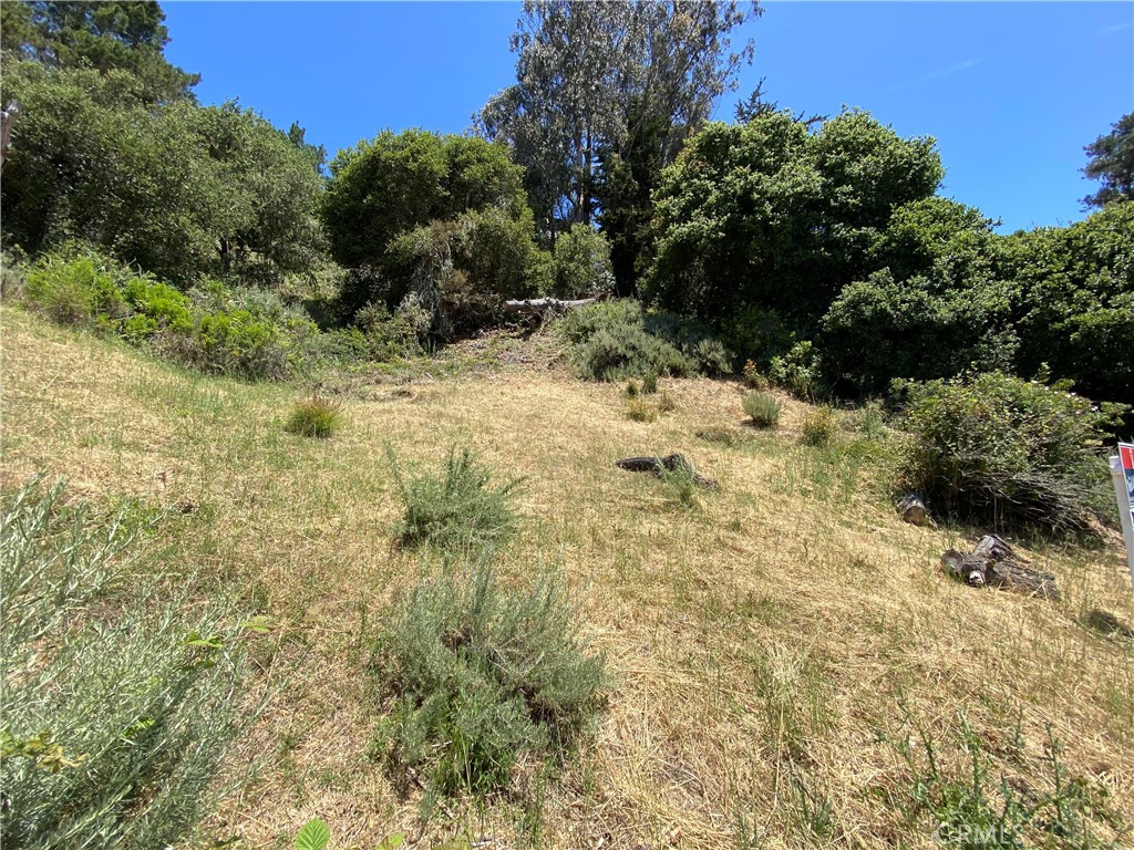 0 Kent Street Property Photo 2